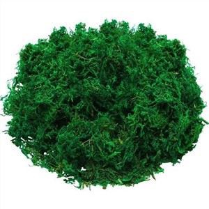 40g 500g Sfagnu sūnas